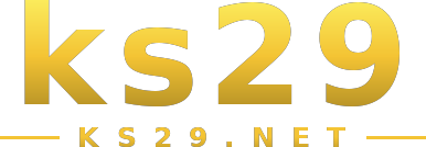 ks29 logo